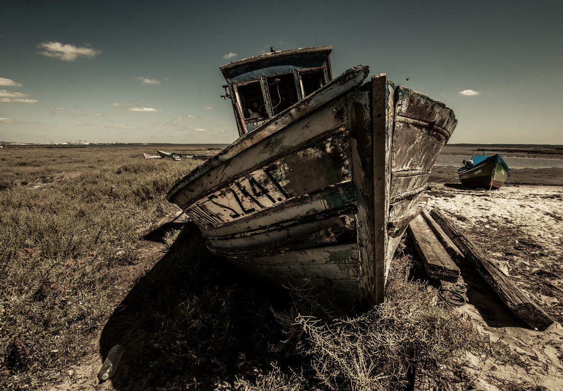 Carrasqueira Setubal Portugal - Yuriy Rogov