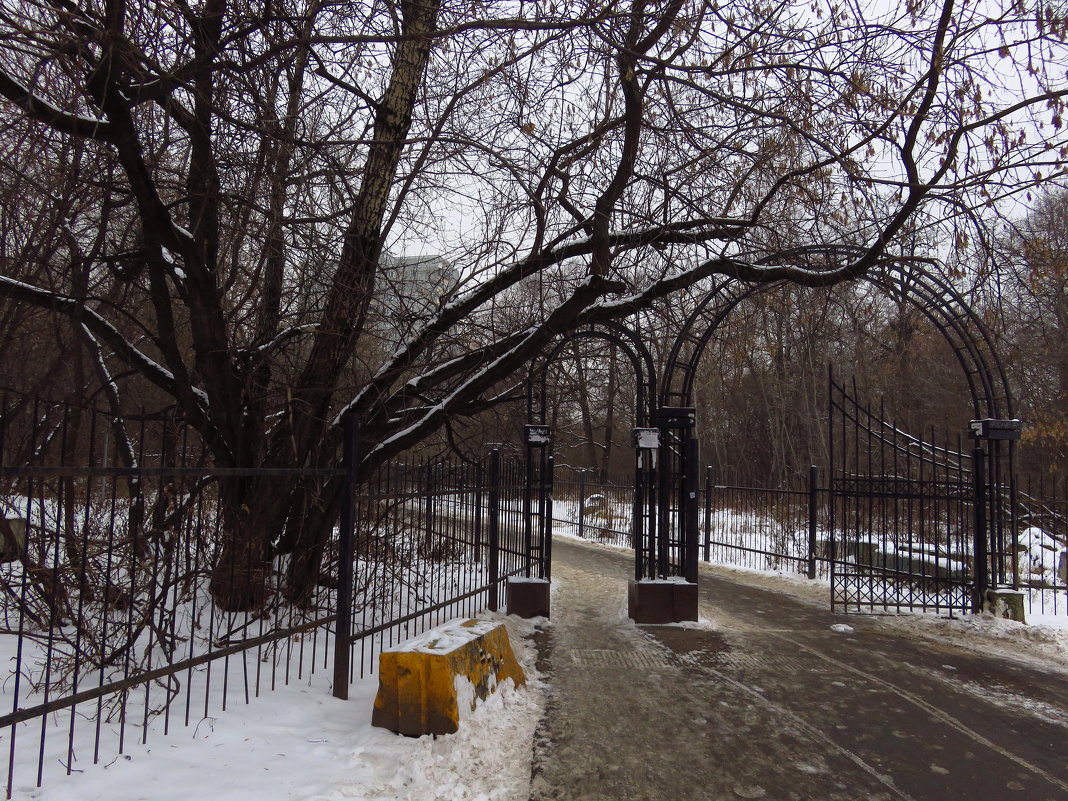 Городской пейзаж - Андрей Лукьянов