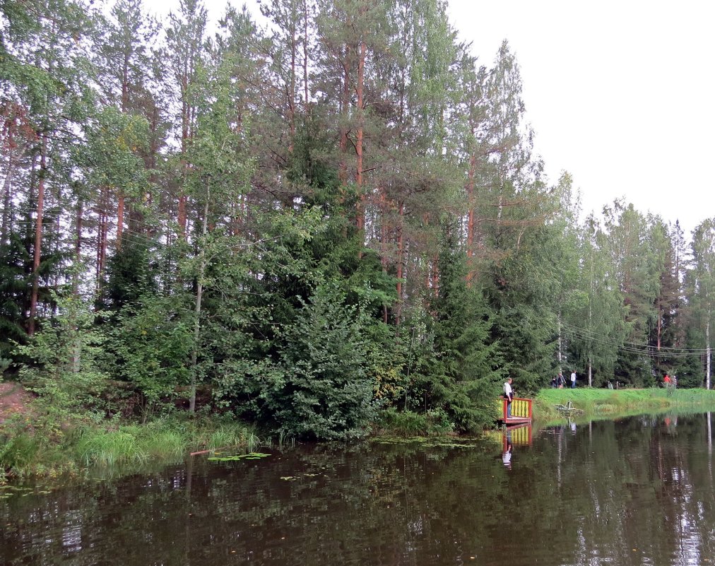 Пруд - Вера Щукина