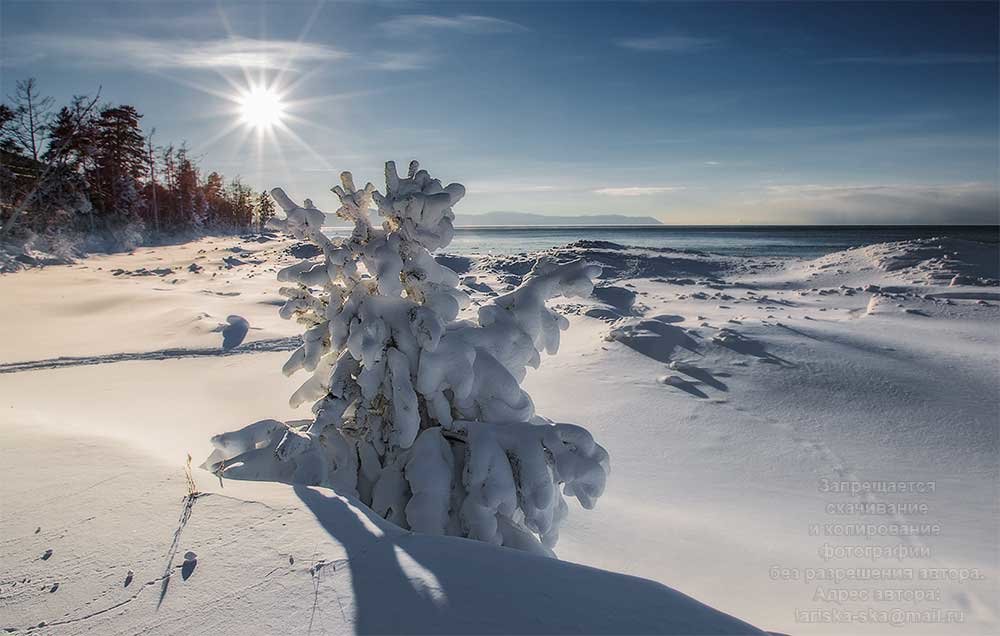 Много снега в декабре - Татьяна Дубровина