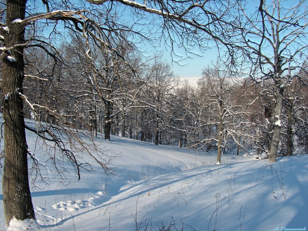Гуляем мы на зимних склонах.. - Андрей Заломленков