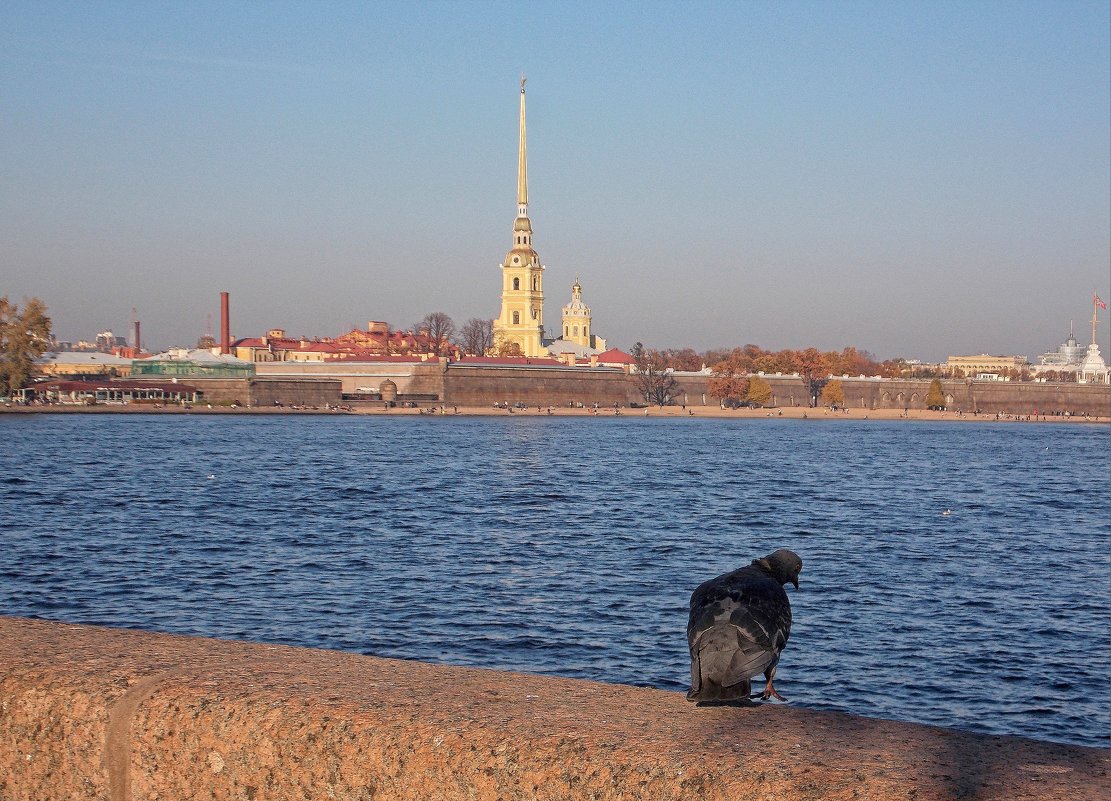 Петропавловская крепость - Фотогруппа Весна