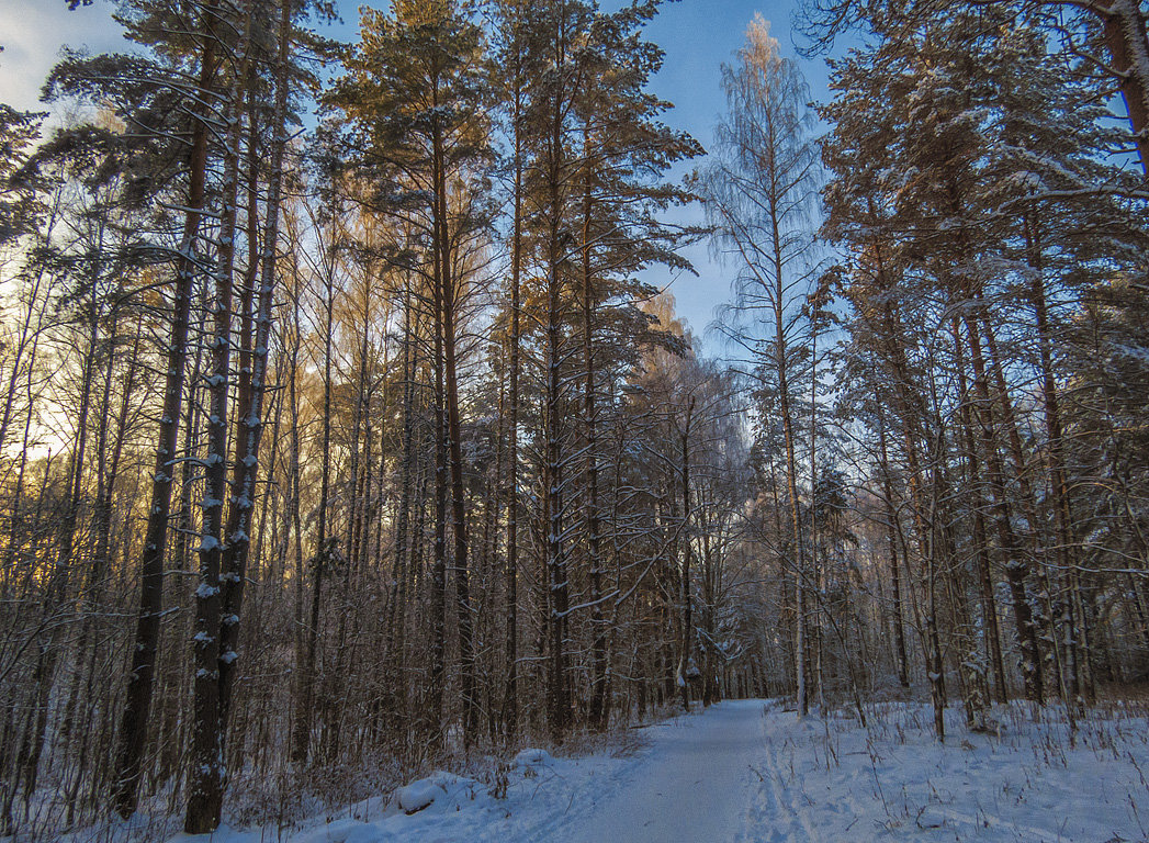 В парке - Сергей Цветков