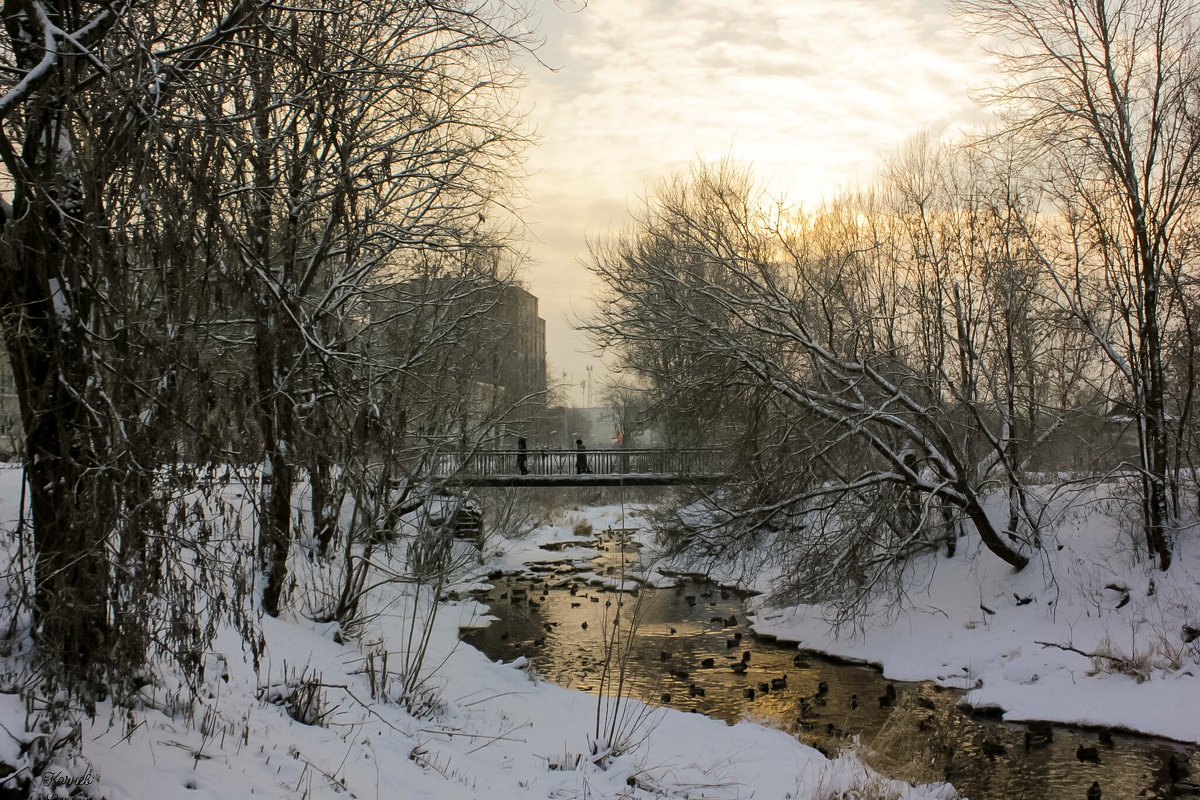 зимний день - Сергей Кочнев