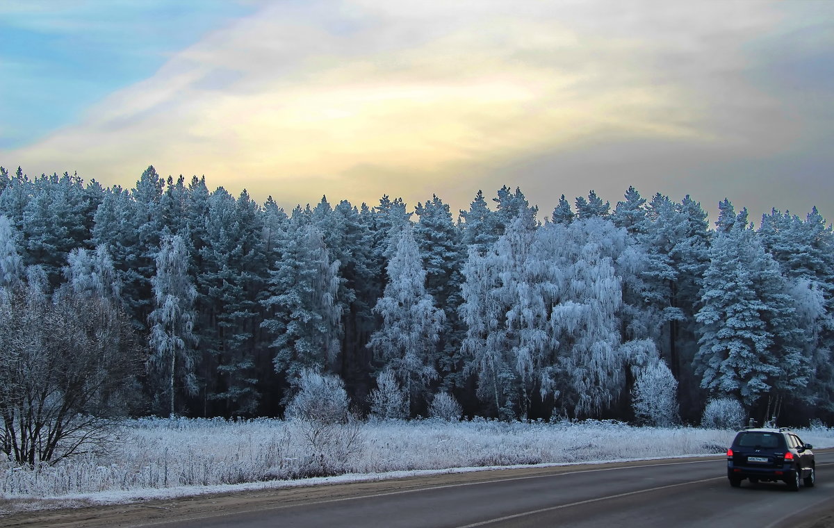 Зимняя дорога. - Маргарита ( Марта ) Дрожжина Зимняя дорога. - Маргарита ( Марта ) Дрожжина