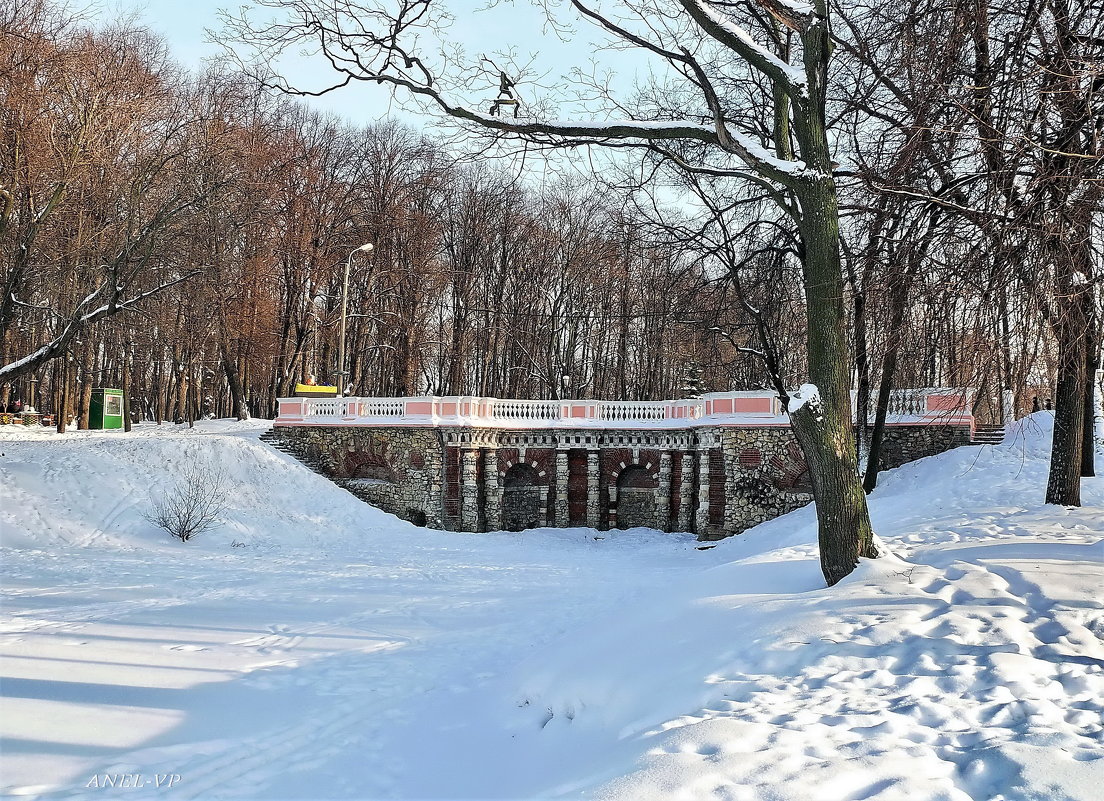 В снежном убранстве - Елена (ANEL-VP) .