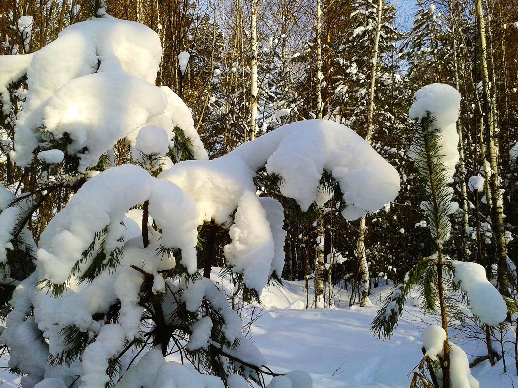 чудеса природы - Владимир 