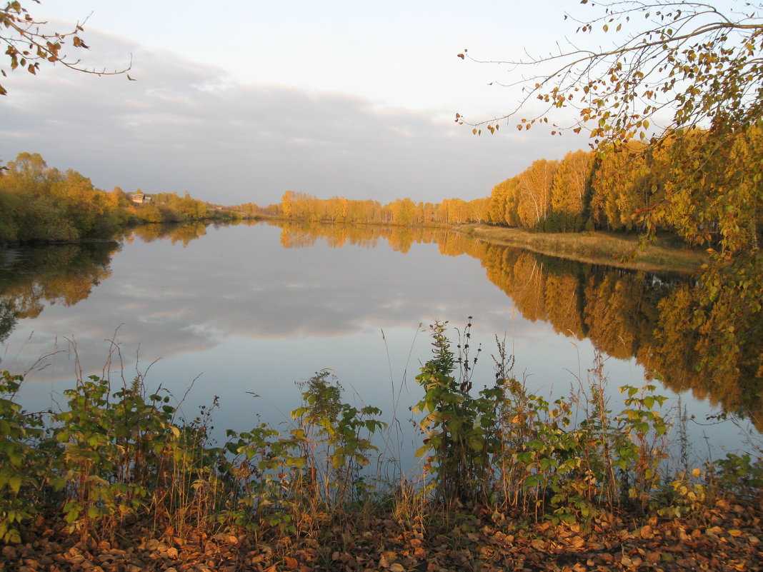 *** - Саша. Беликов *** - Саша. Беликов