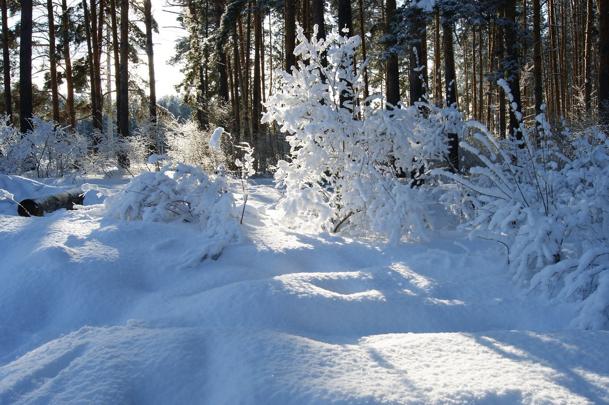 Январский пейзаж - nika555nika Ирина Январский пейзаж - nika555nika Ирина