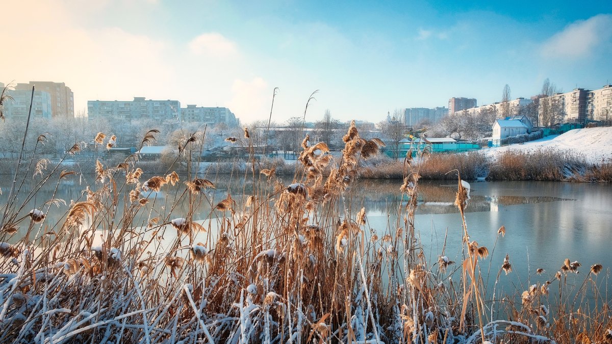 На берегу Темерника - Александр Гапоненко На берегу Темерника - Александр Гапоненко