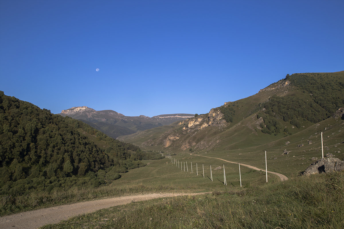 *** - Леонид Сергиенко