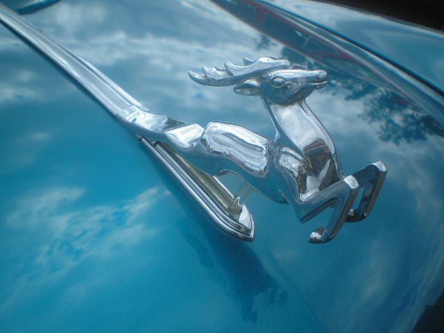 *** - Екатерина Пахомова