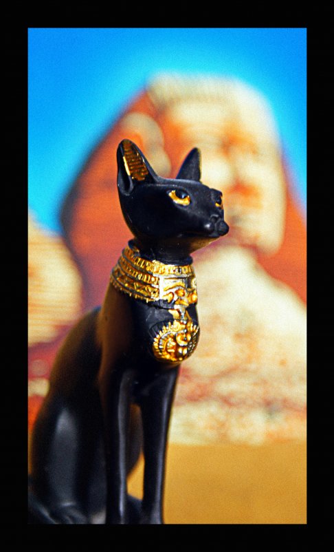 ... - Андрей Журавлев