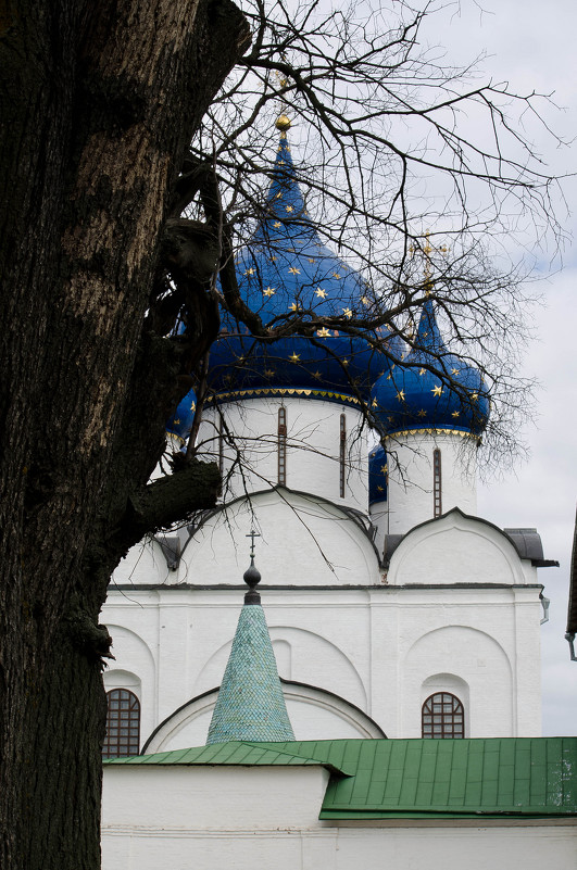 Богородице-Рождественский собор - Pelagey 