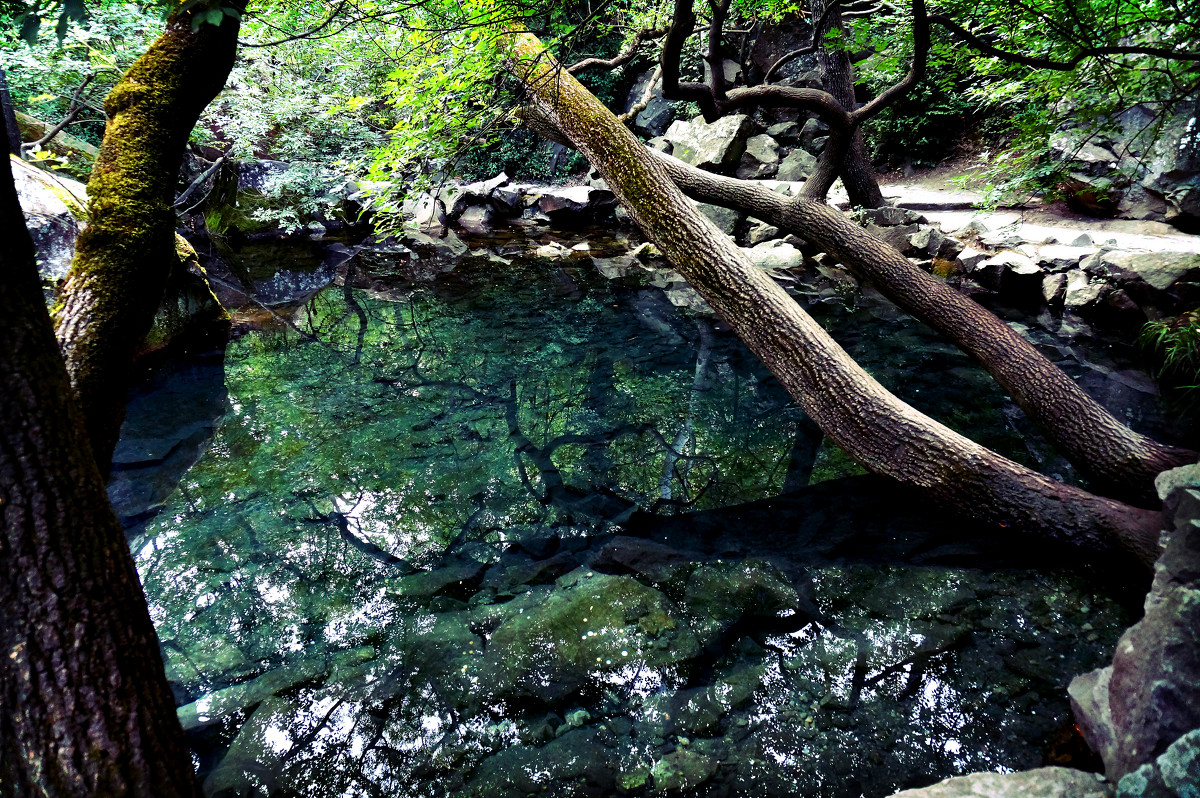 Лунное озеро. Алупка - Татьяна Новичонок