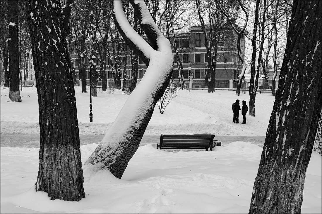 в летнем парке зима (с) - Айдимир .