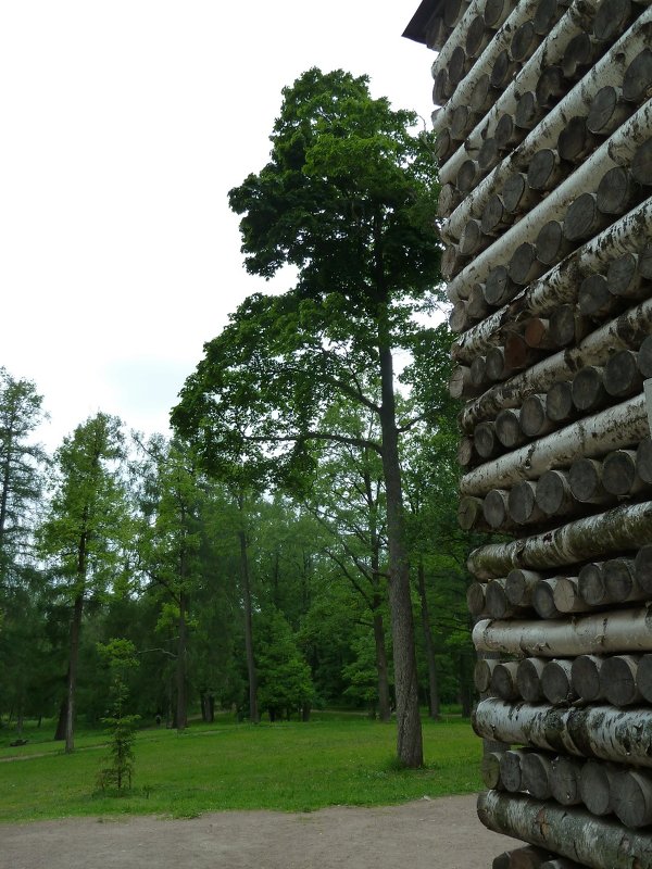 ОДИН  ДЕНЬ  ПО  ГАТЧИНЕ, охотничий домик. - Виктор Осипчук