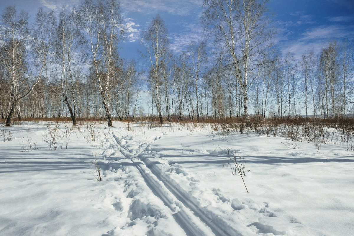 Вставай на лыжи - Алексей Мезенцев