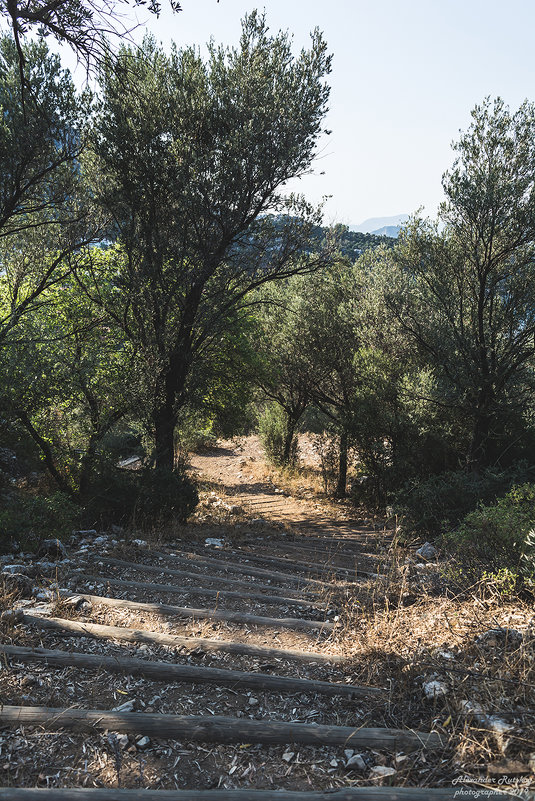 *** - Александр Руцкой