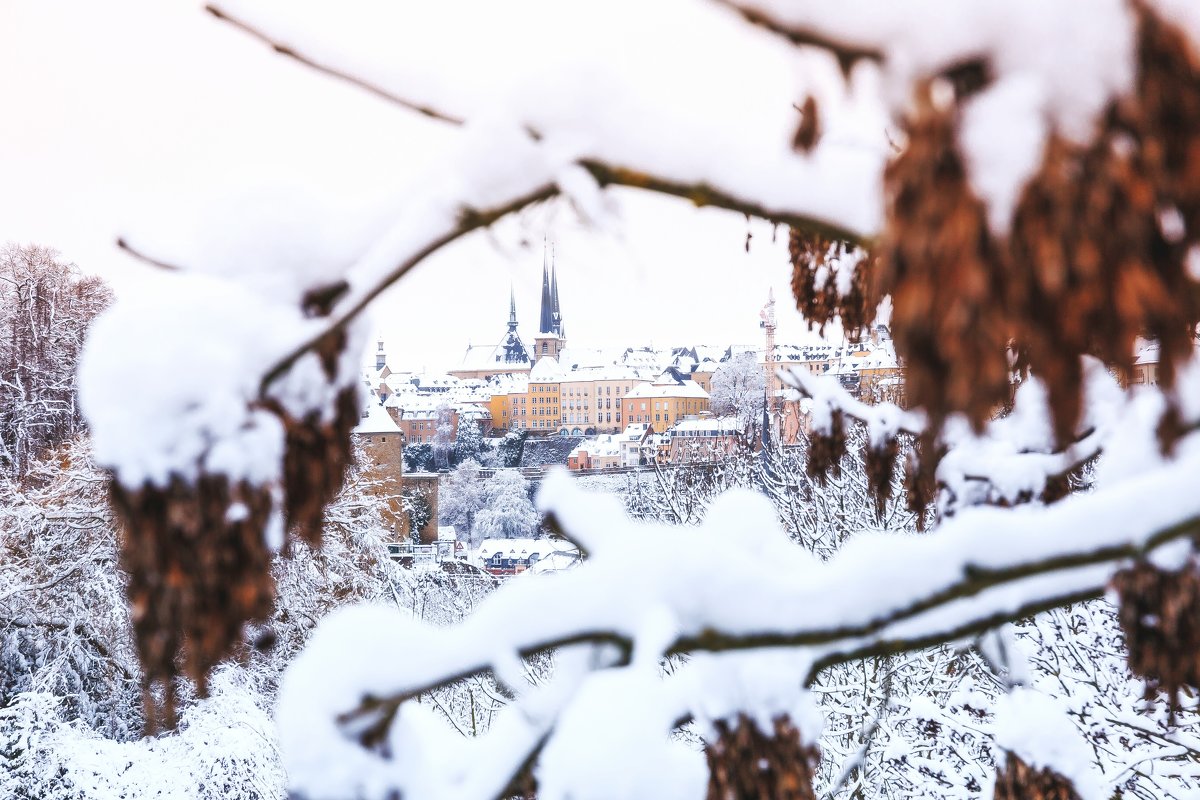 Winter in Luxembourg - Alena Kramarenko