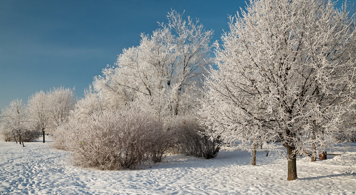 *** - Сергей Басов