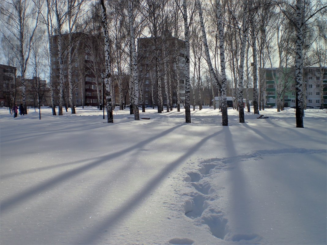 Февраль. - Венера Чуйкова