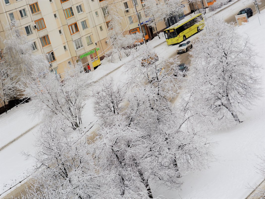 Городской пейзаж - Ольга (crim41evp)