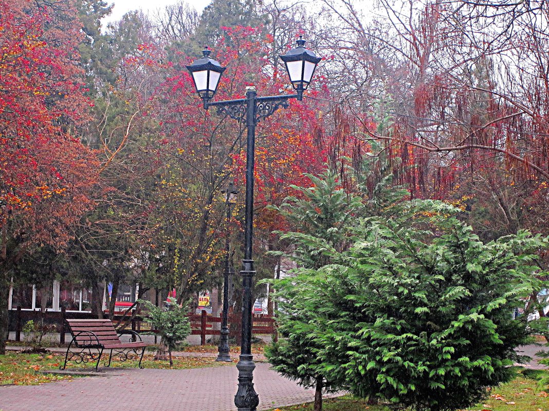 В парке - Валентин Семчишин