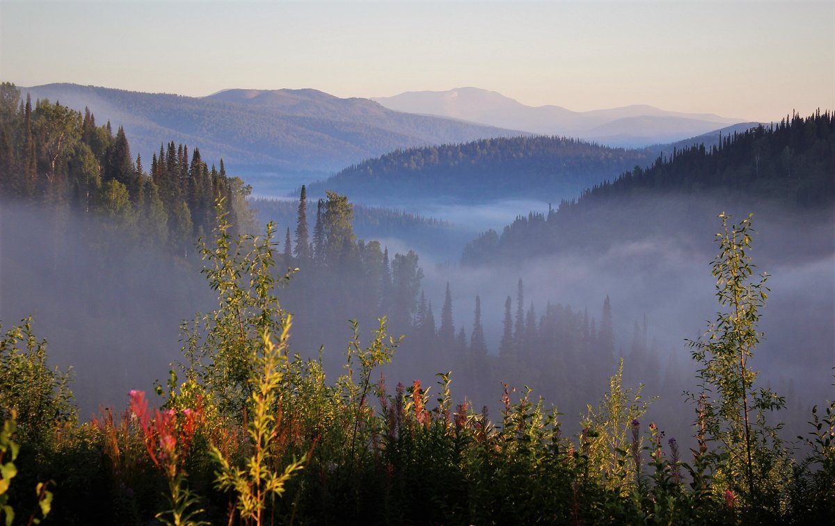 Утро в долине - Сергей Чиняев 