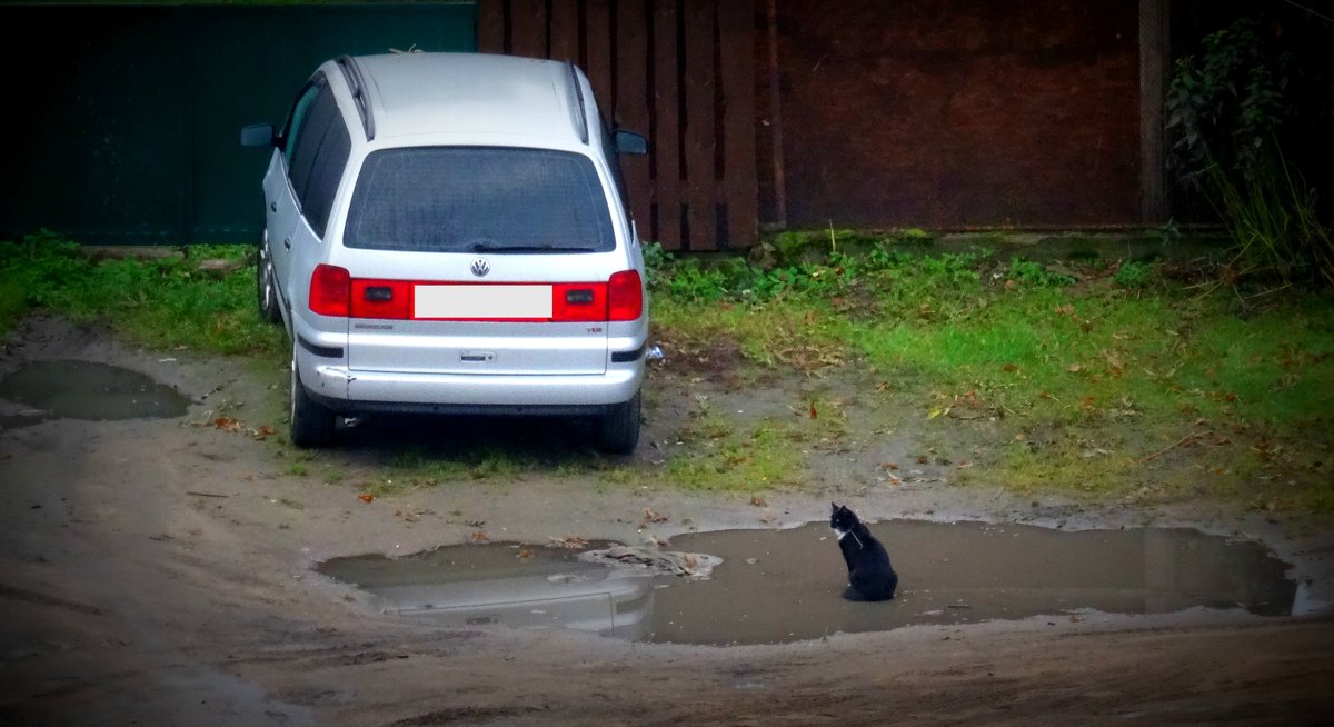 Купание - Sony 2 Sony 2