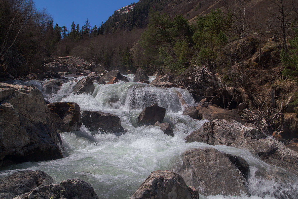 *** - Леонид Сергиенко