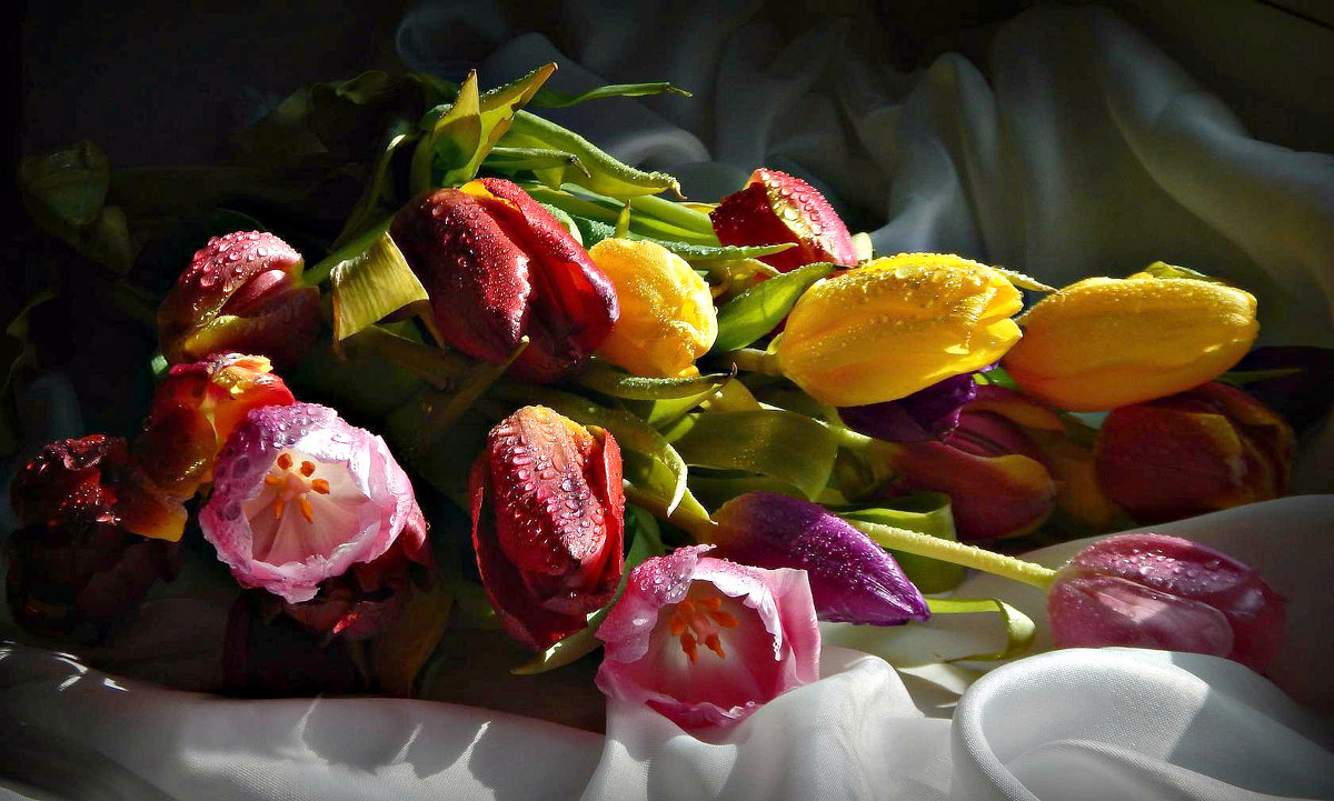 С 8 МАРТА! - ЛЮБОВЬ ВИТТ 