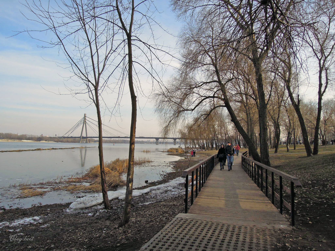 В весеннем парке - Тамара Бедай 