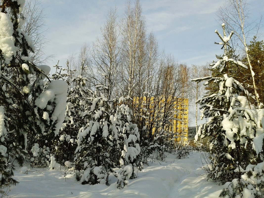 === - Владимир === - Владимир