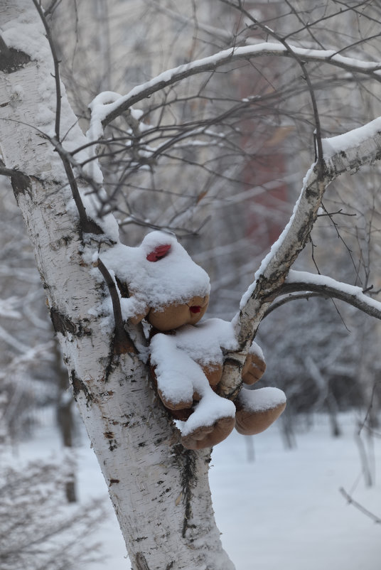 Зайку бросила хозяйка. Bunny abandoned by the mistress. - Юрий Воронов