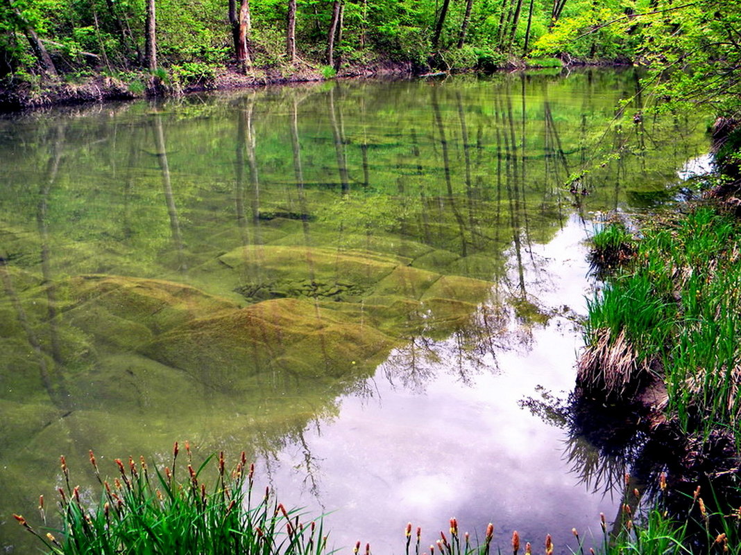 ДНО  ГОРНОЙ  РЕКИ. - IVANA 