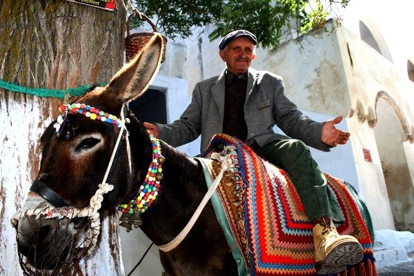 Оп ля,-и я на коне! Ой, на осле! - Любовь 