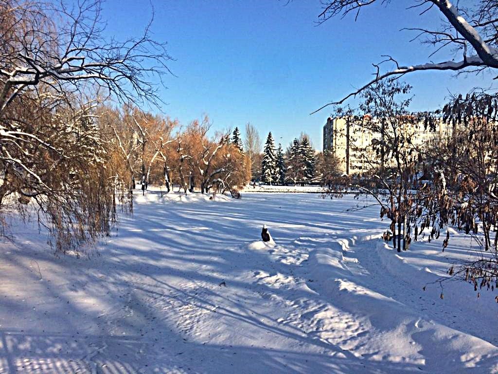 Занесло меня в  занесённый  снегом Саратов - Виталий Селиванов 