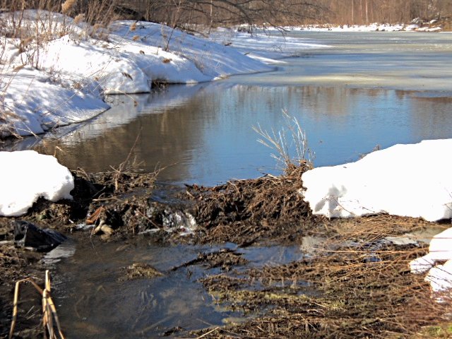 Талая вода. - Николай Масляев