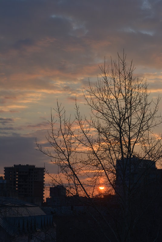 нежное утро - Натали Акшинцева