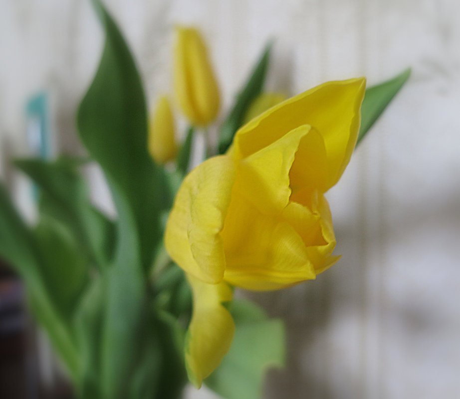 Приятных выходных! - Валентина Жукова