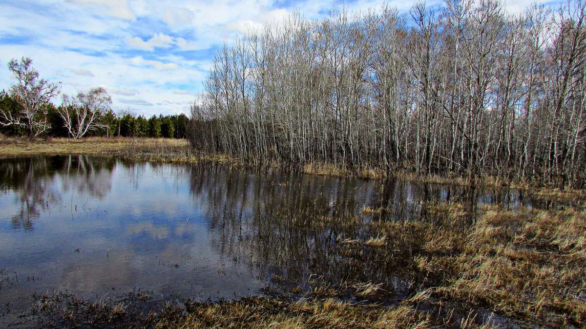 Апрель - Владимир 
