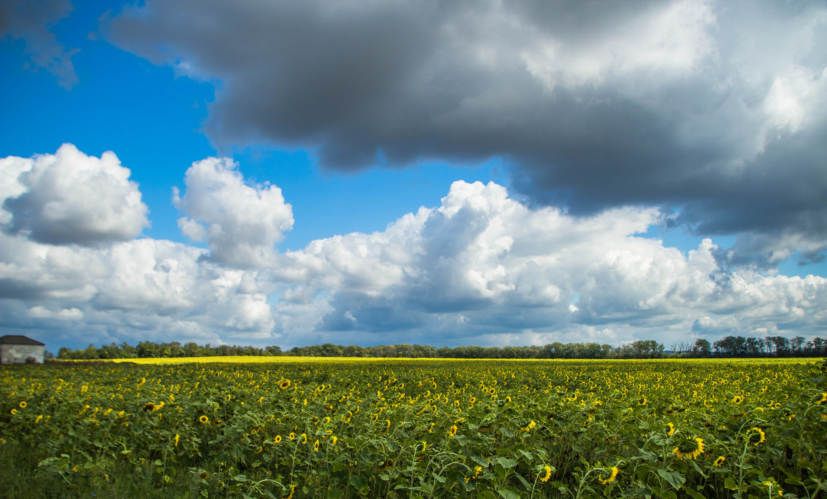 сегодня - ветренно - Александр Идикеев сегодня - ветренно - Александр Идикеев