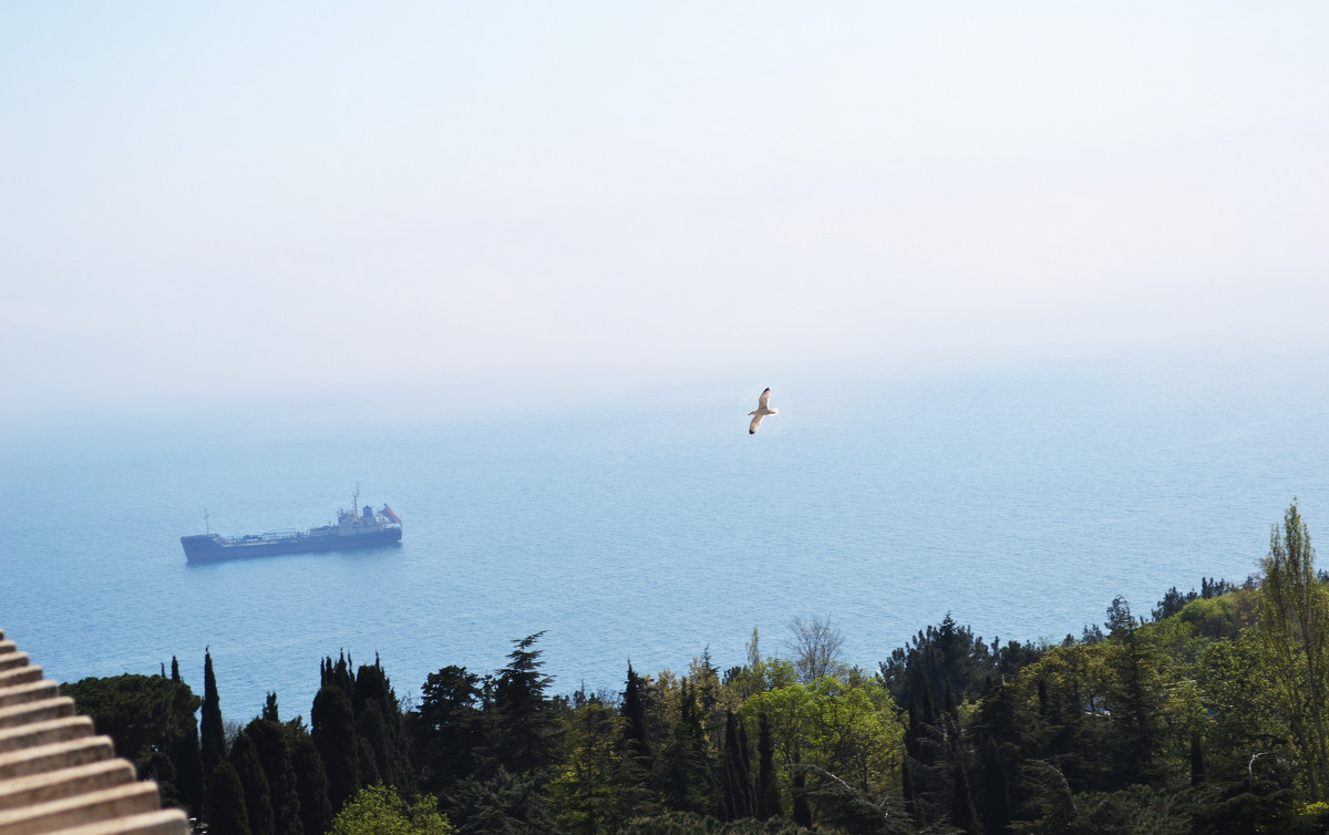 freedom - Anastasia Pavlyukovskaya