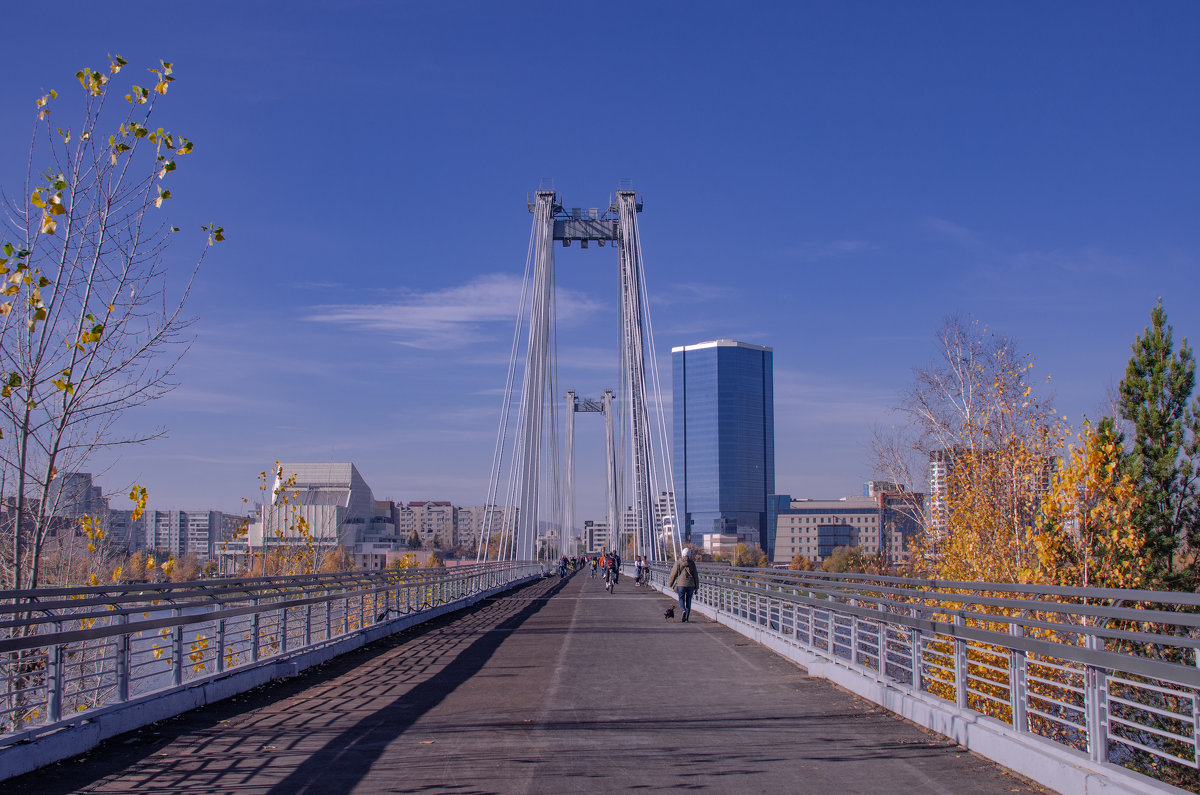 Вантовый мост - Светлана Винокурова