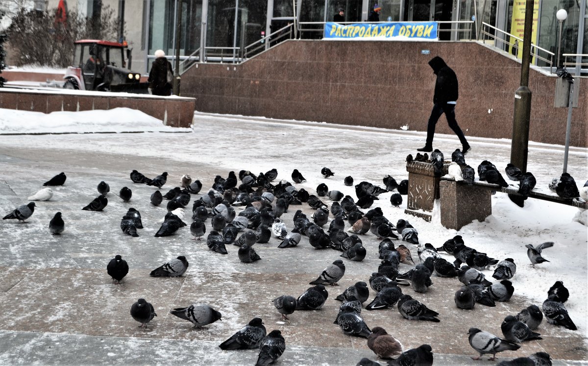 В городе зима.. - Лариса Красноперова