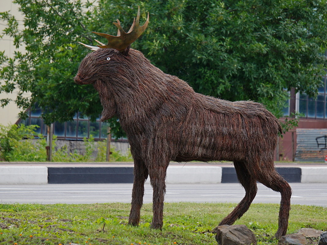 Лось из веток - Сеня Белгородский