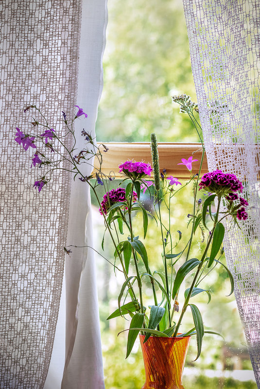 Полевые цветы. - But684 