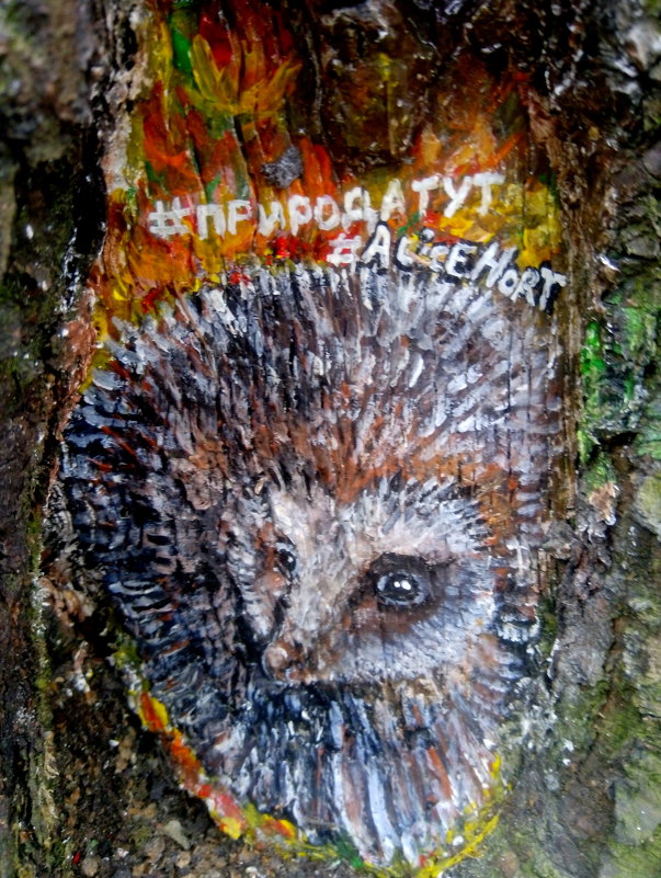 Лесное творчество - Татьяна Лобанова Лесное творчество - Татьяна Лобанова