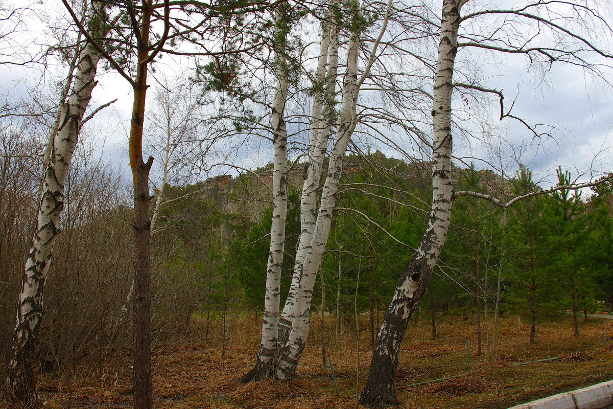 Каркаралинск. - Штрек Надежда 